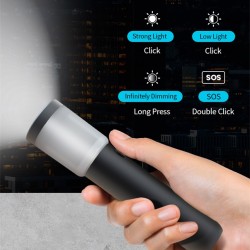 FLASHLIGHT