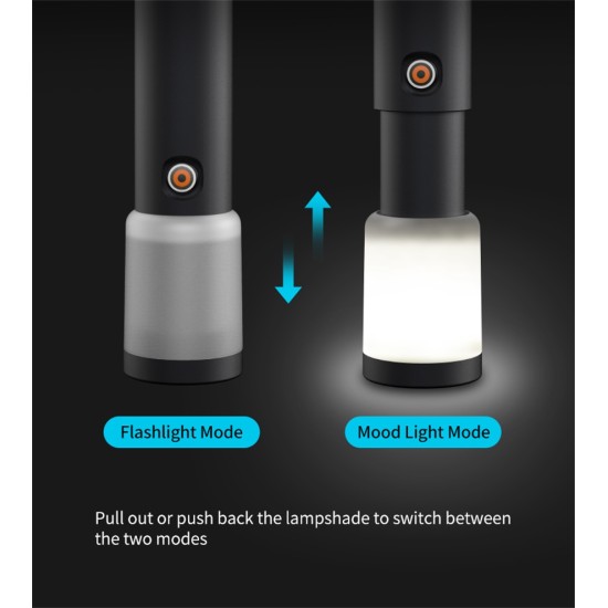 FLASHLIGHT FLASHLIGHT